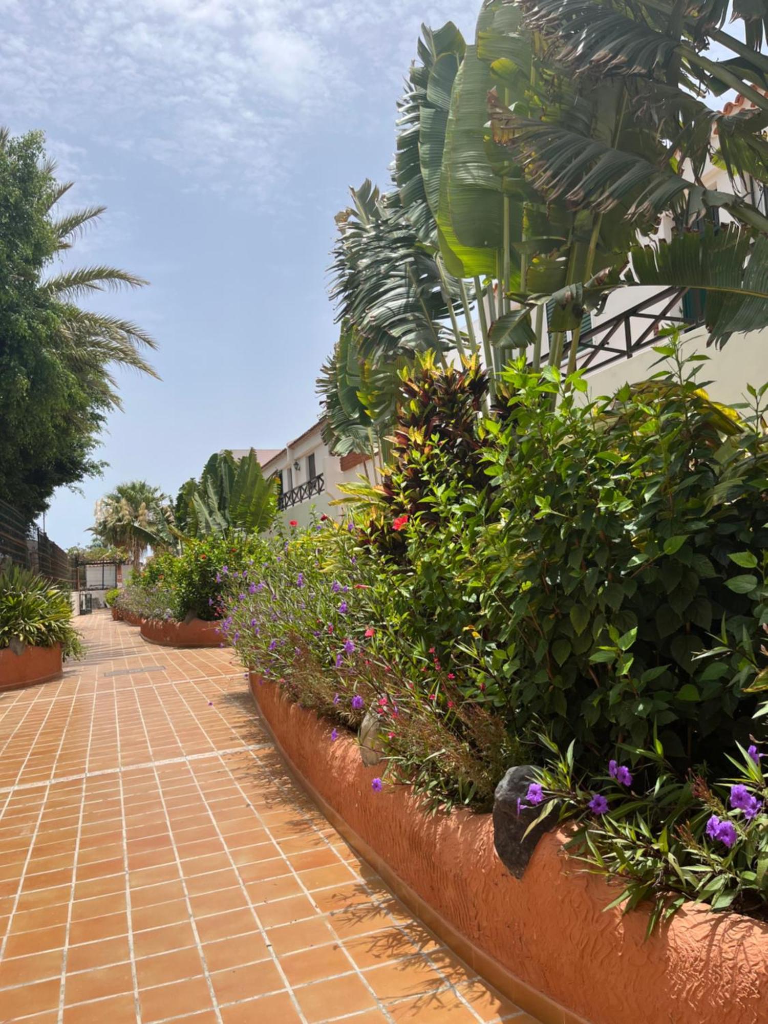 Casa Parque Don Jose 2 Leilighet Costa Del Silencio Eksteriør bilde