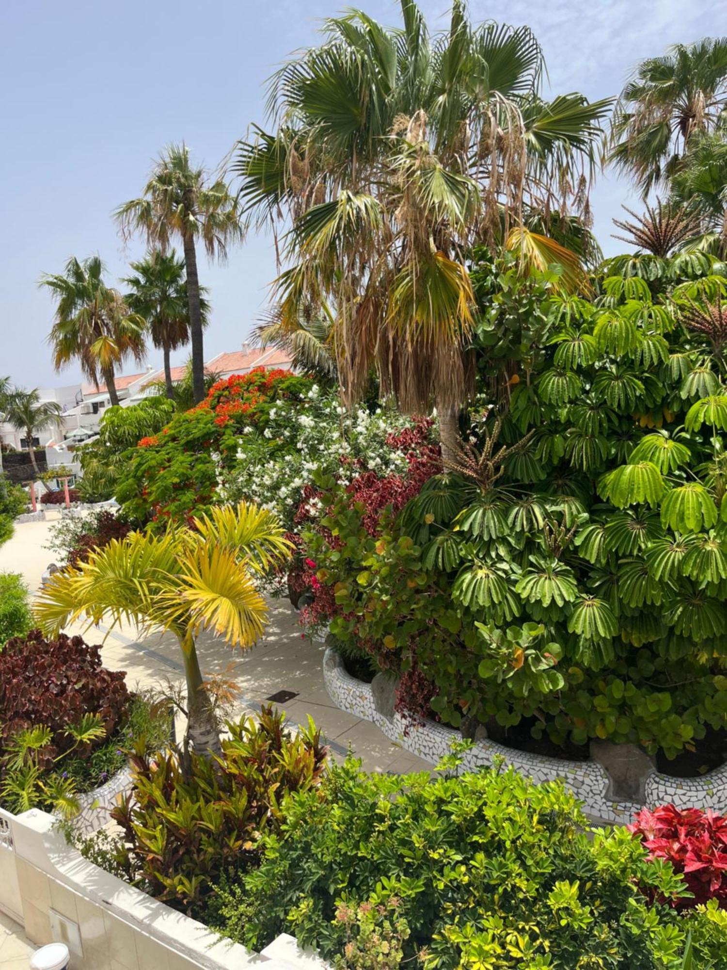 Casa Parque Don Jose 2 Leilighet Costa Del Silencio Eksteriør bilde