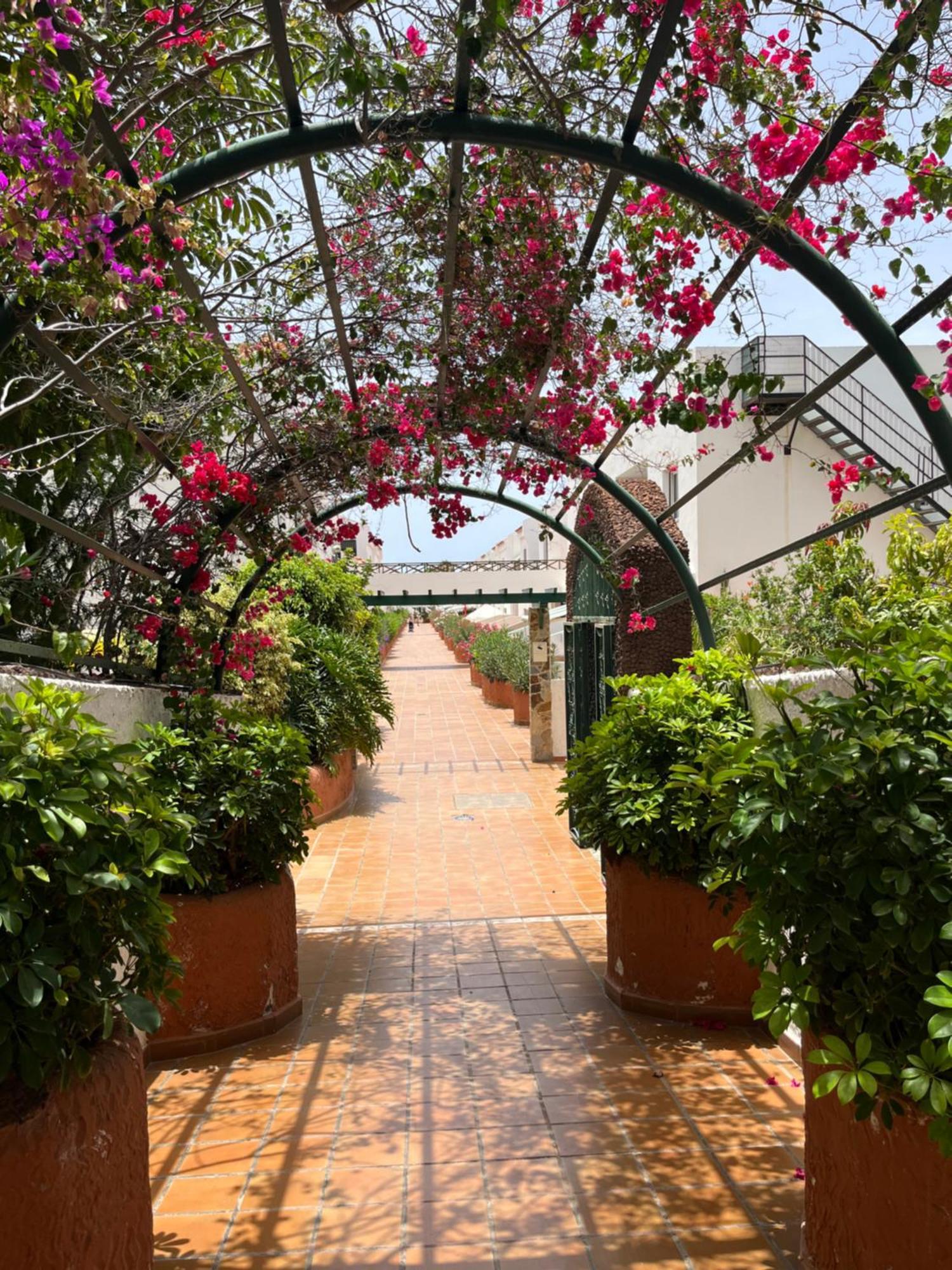 Casa Parque Don Jose 2 Leilighet Costa Del Silencio Eksteriør bilde